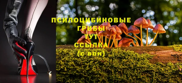 стафф Зеленодольск