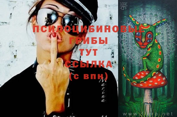 стафф Зеленодольск