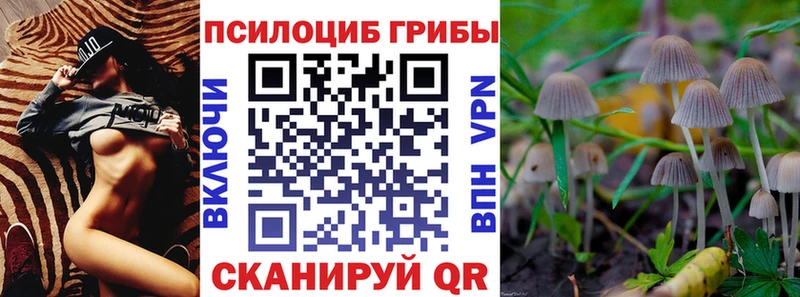 Галлюциногенные грибы MAGIC MUSHROOMS  Купить где  Дмитриев 